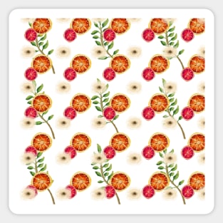 Mediterranean oranges II Sticker